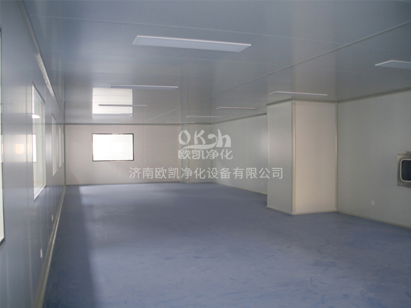 萬(wàn)級(jí)無(wú)菌凈化車間.jpg
